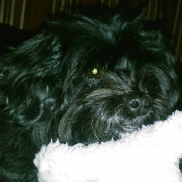 Meet your Posher, Sharon - Picture 1 of 1